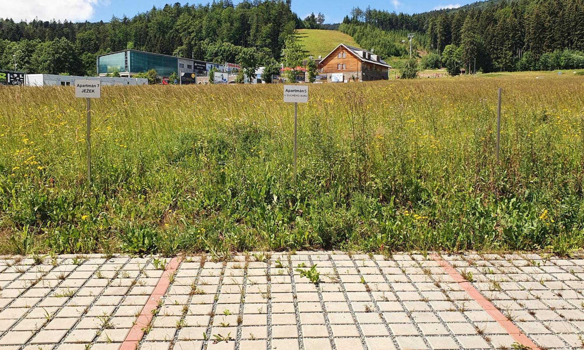 Apartmán U Suchého buku - Buková Hora Červená Voda Exterior foto