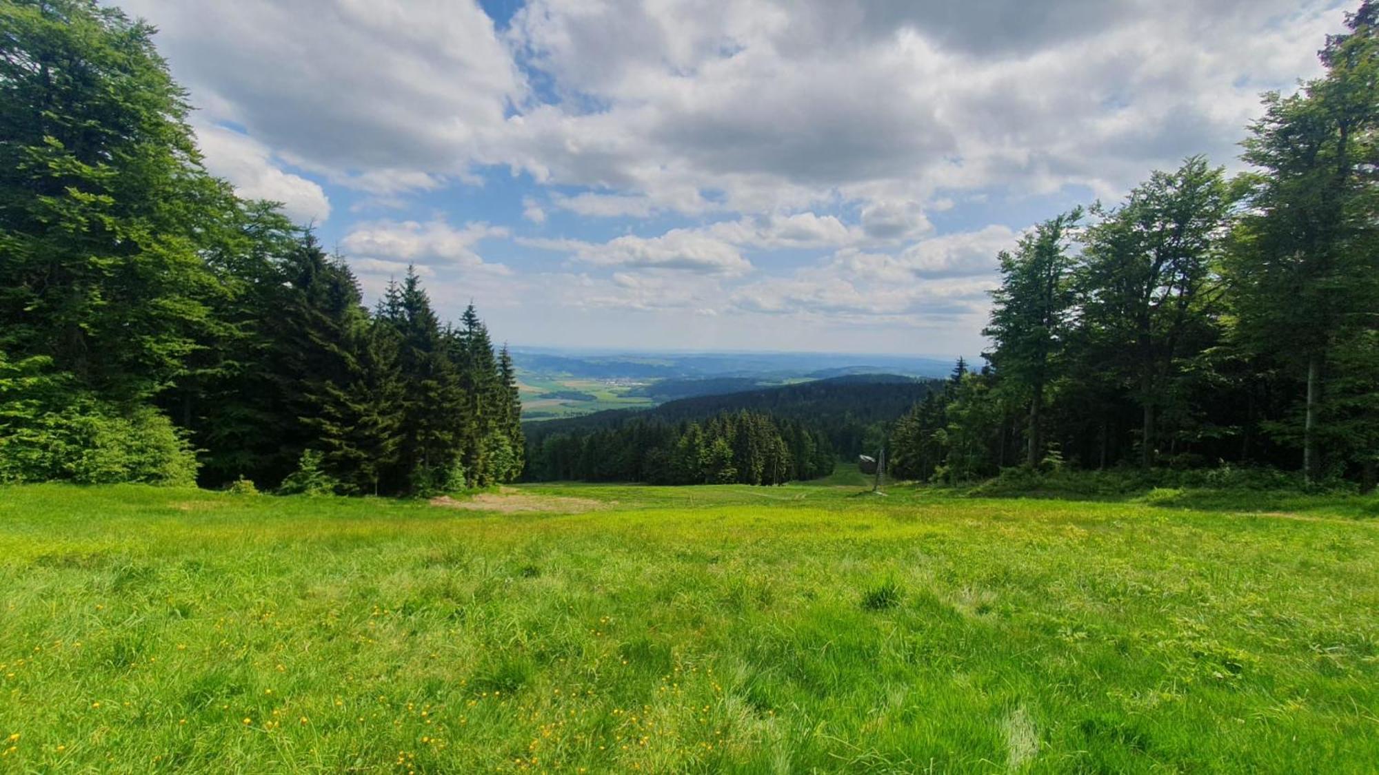 Apartmán U Suchého buku - Buková Hora Červená Voda Exterior foto